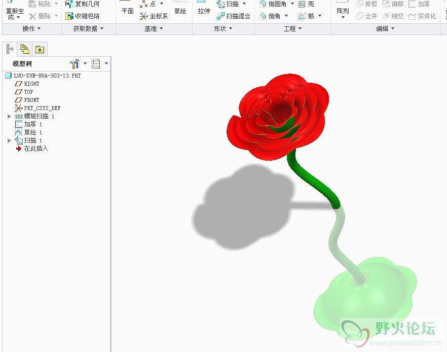 螺旋花-30313.jpg