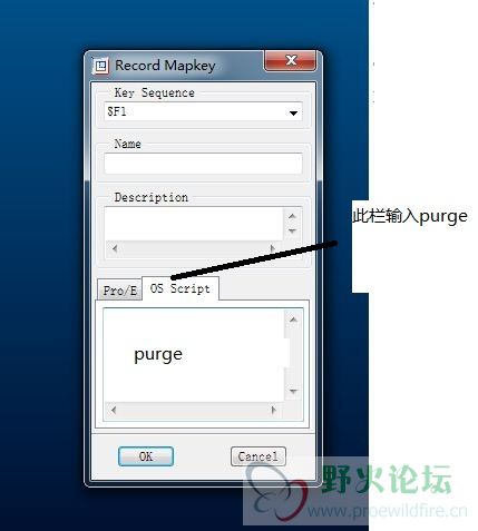 purge设置