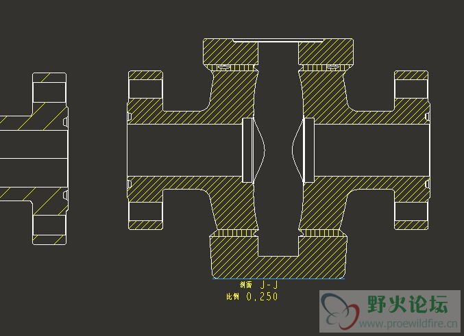 偏距剖切