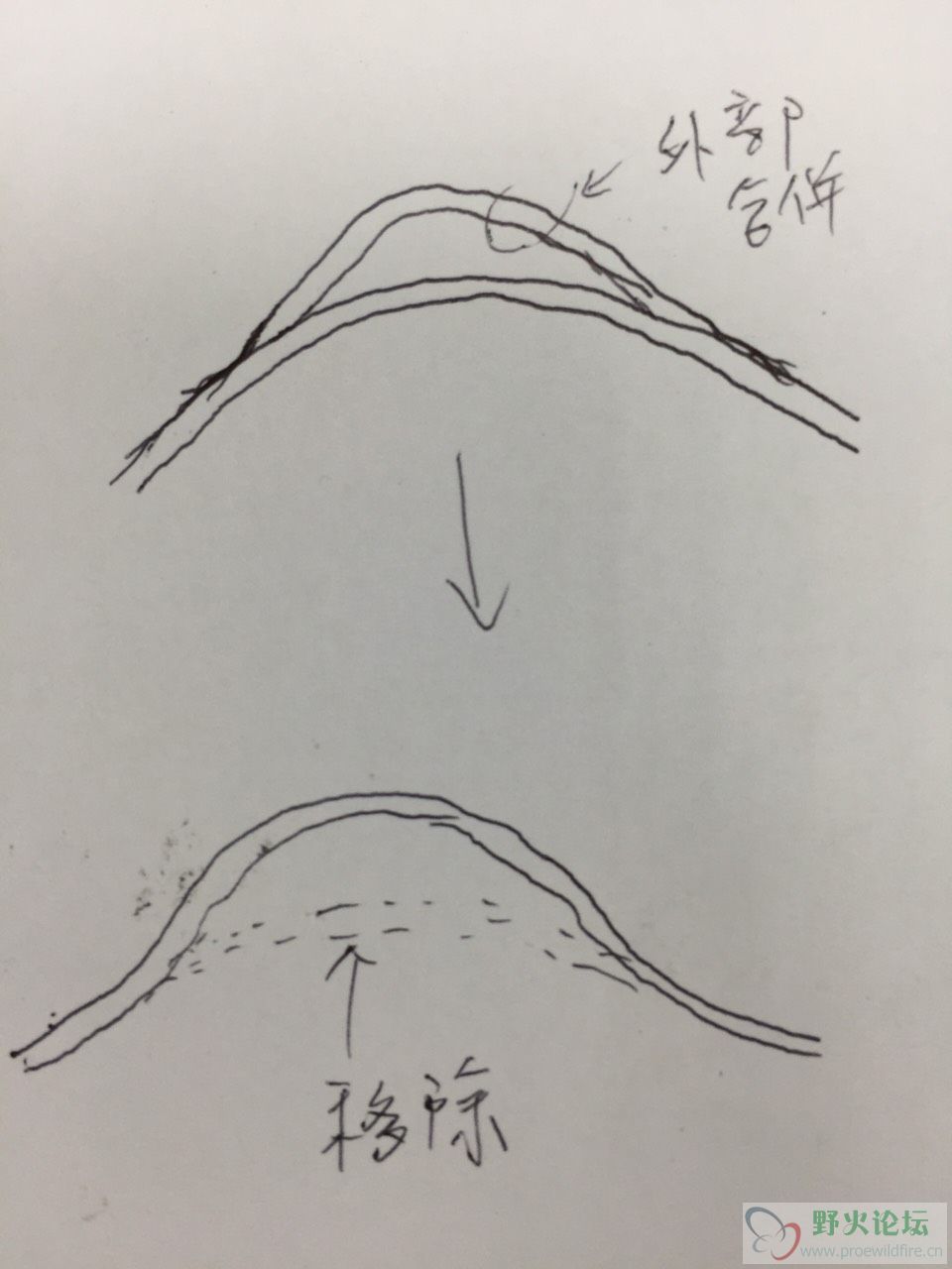 S__7454722.jpg