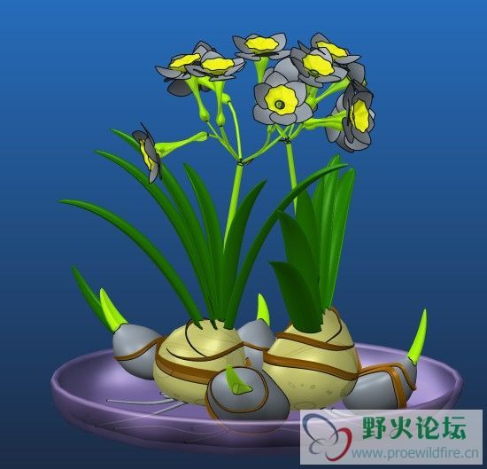 水仙花.jpg