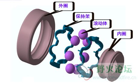 滚动轴承组成_副本.jpg