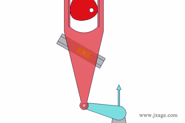 动图5.gif