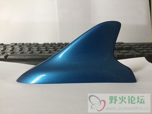 IMG_2572_副本.jpg