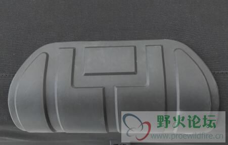 前锋.jpg