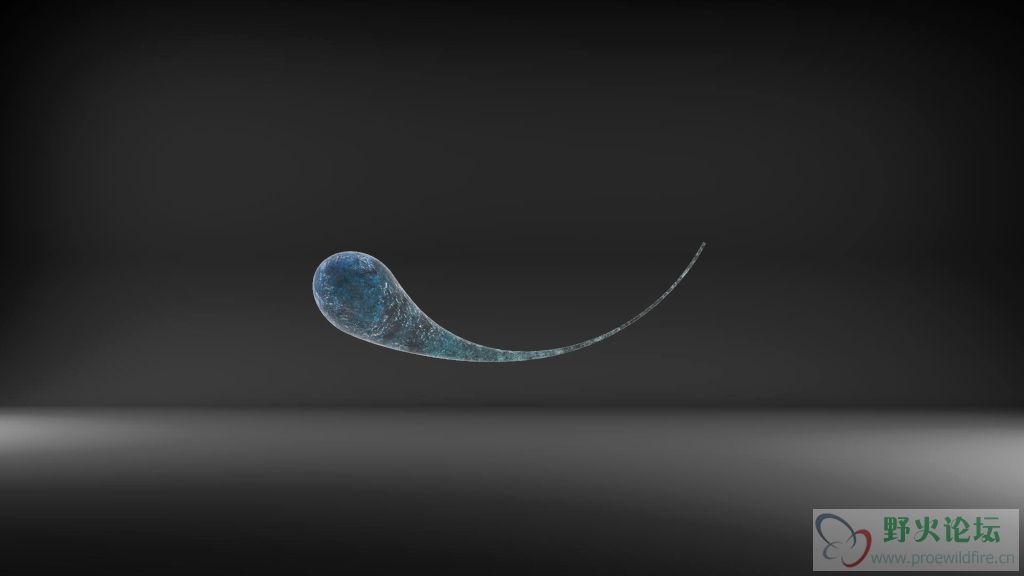 鲁伯特之泪(1).jpg