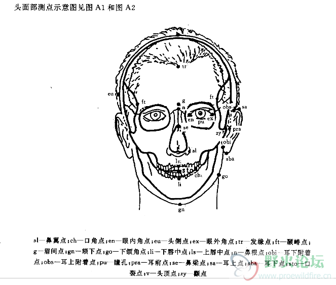 人头测量.PNG