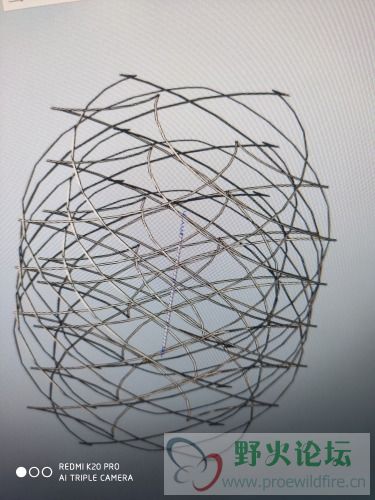 1592548152247..jpg