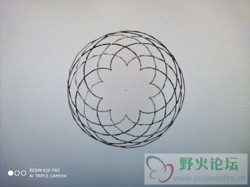 1592552131154..jpg