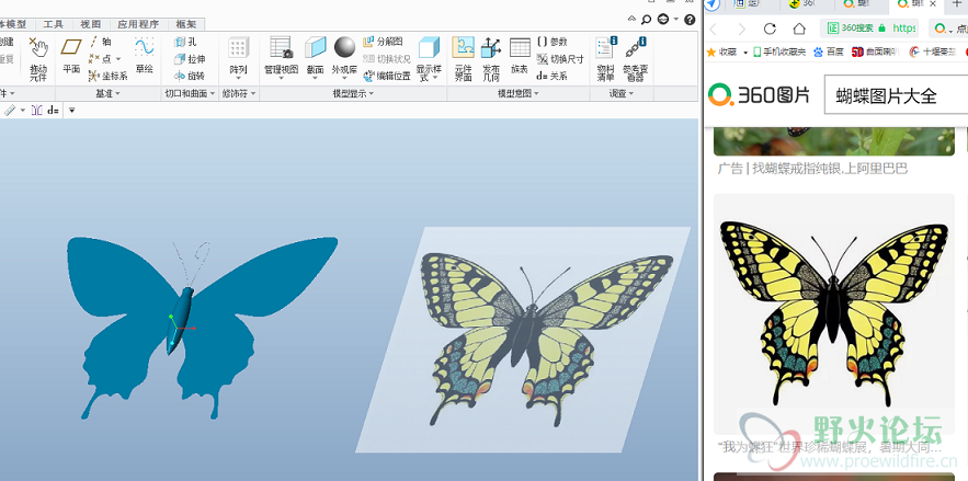 butterfly - .png