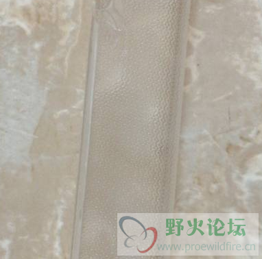 QQ图片20210330121639.png
