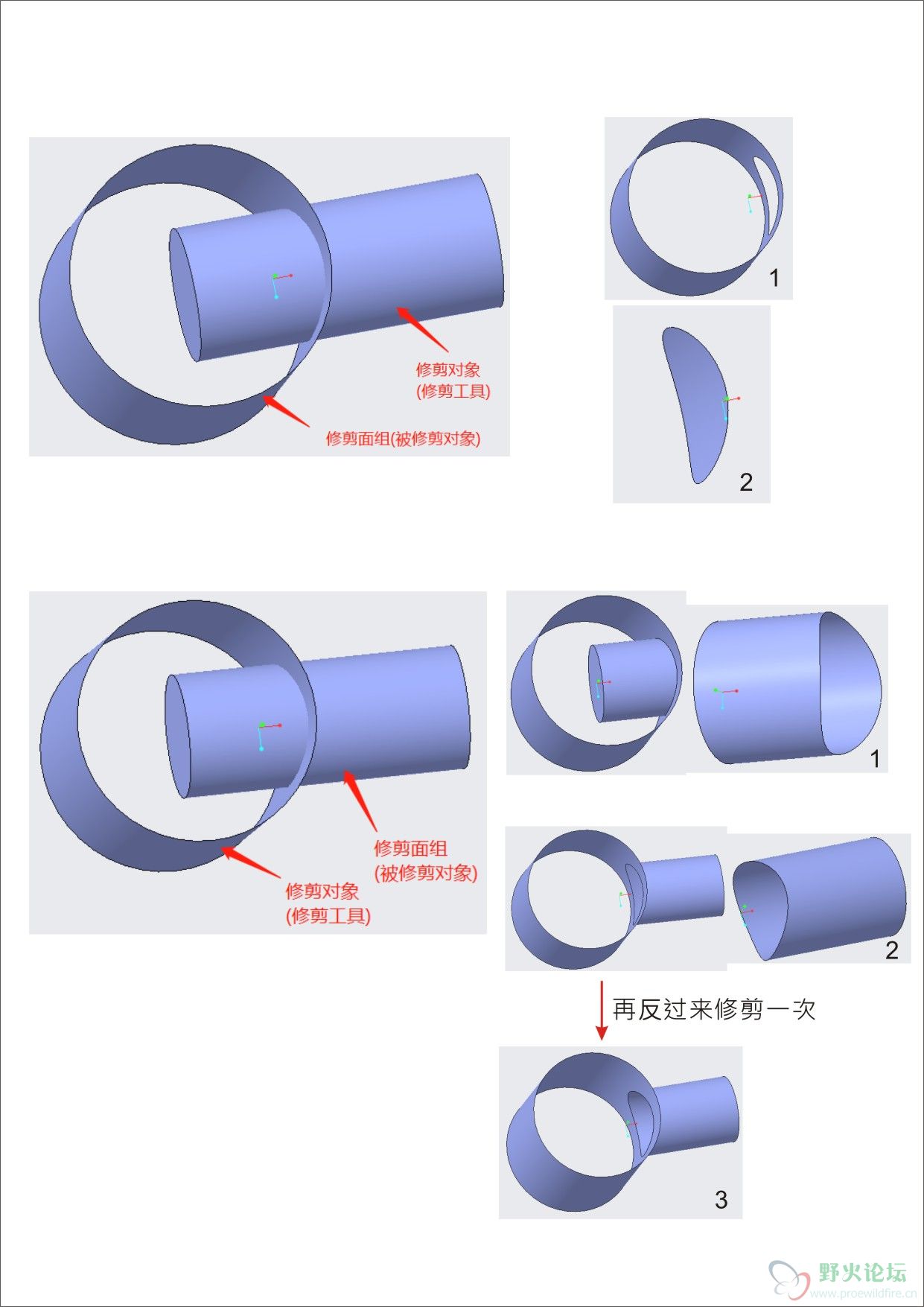 修剪.jpg