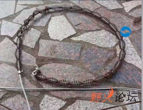 异线弹簧原图.jpg