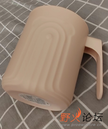 实物