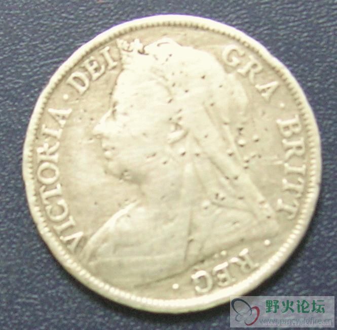 coin.jpg