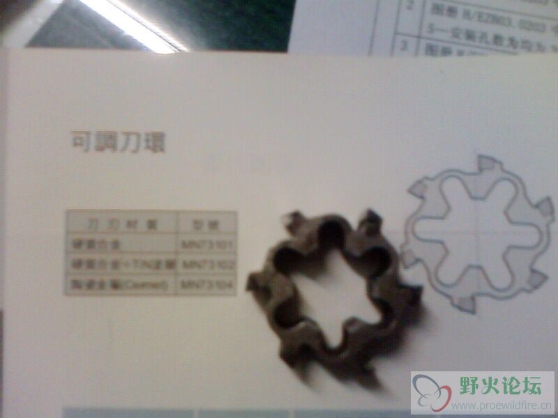 IMG0175A.jpg