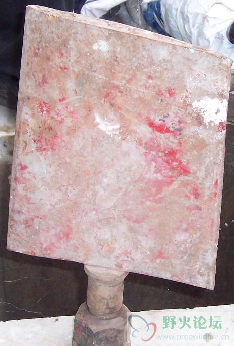 100_1715.JPG
