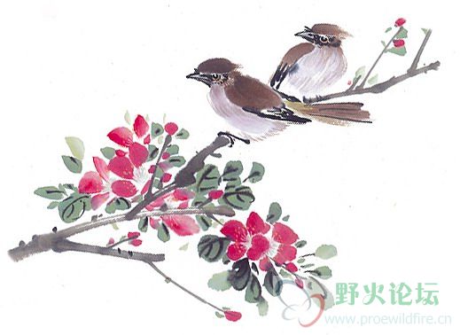 bird2.jpg