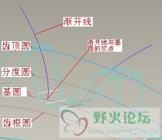 渐开线.jpg