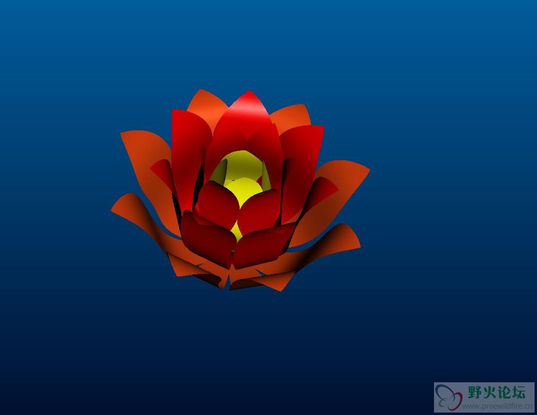 lily1.jpg