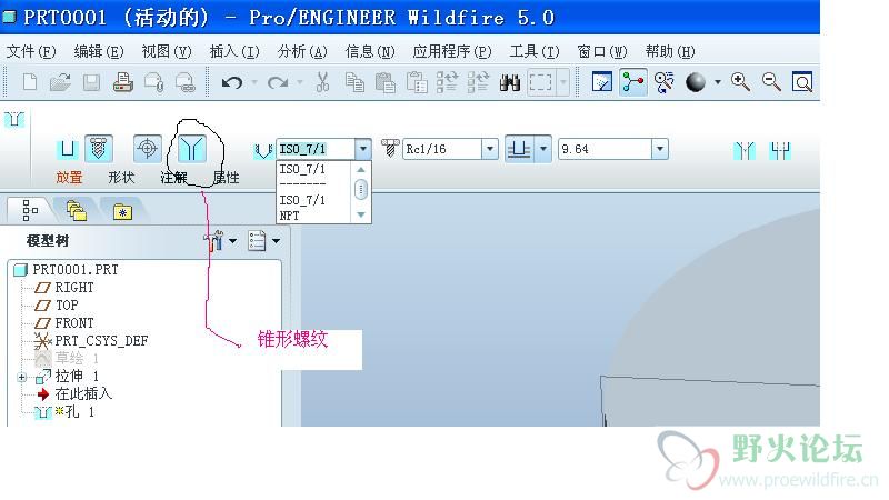 luowen-NPT.JPG