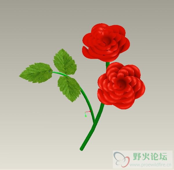 花.jpg