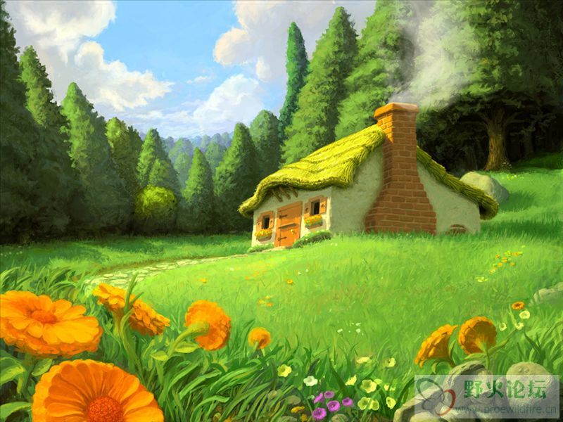 4563.jpg