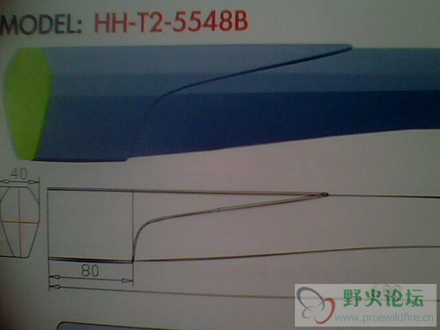 IMG0555A.jpg