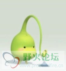豆儿.jpg