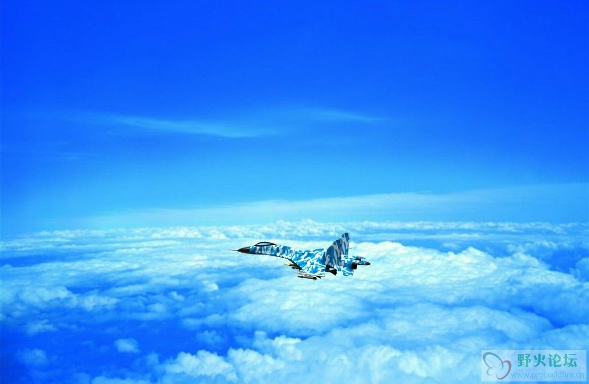 J11B蓝天.jpg