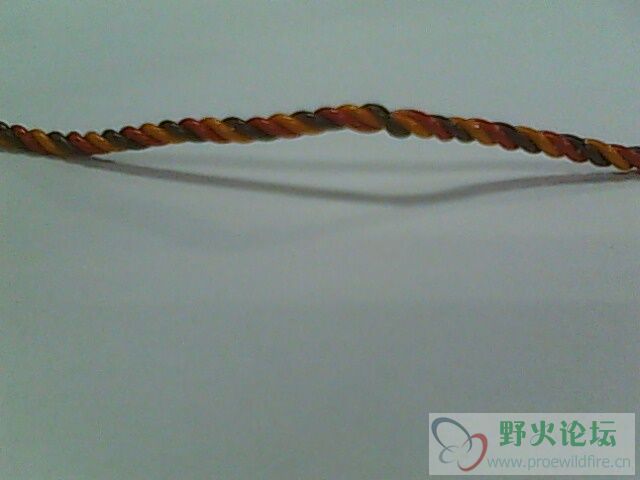 IMG0190A.jpg