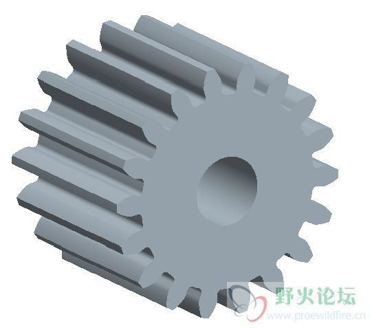 直齿轮模型