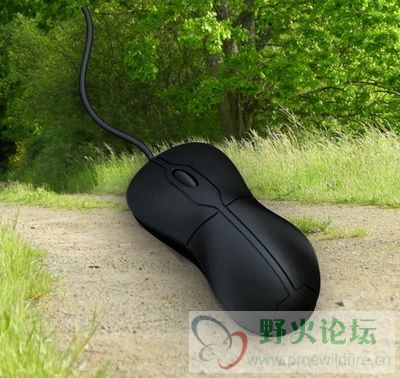 无标题67.jpg