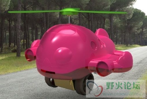 向前飞.jpg