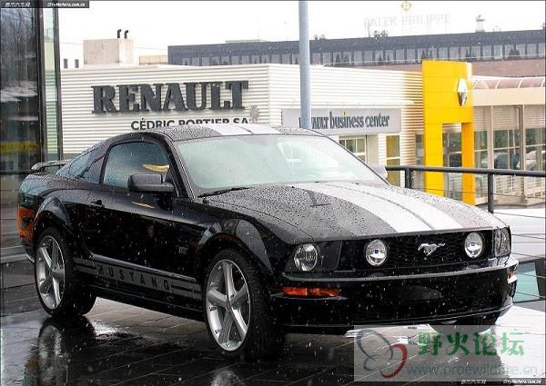 MUSTANG 2332 - 复制.jpg