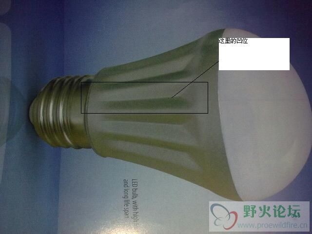 20101225020.jpg
