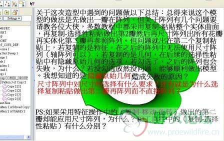 莲花.JPG