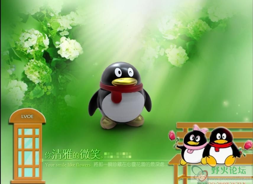 qq.JPG