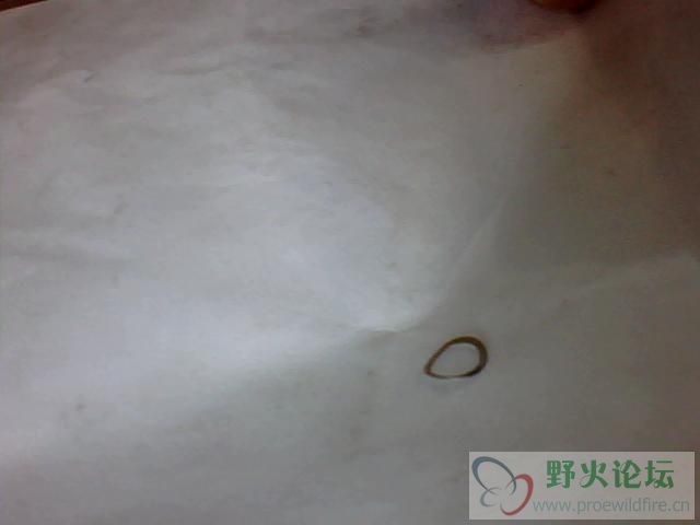 图片 001.jpg