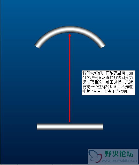 01.JPG