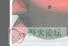 未命名.jpg