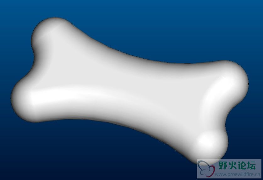 bone.jpg