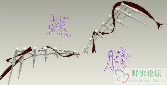 翅膀.jpg