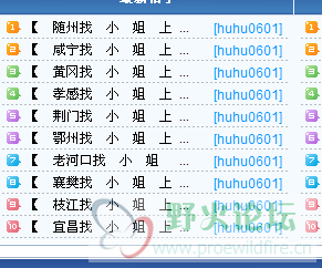 QQ截图20120602074433.png