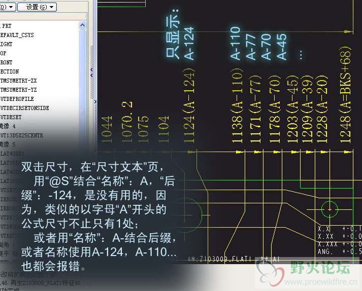 p01.jpg
