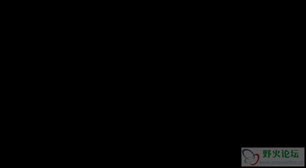 12334.jpg