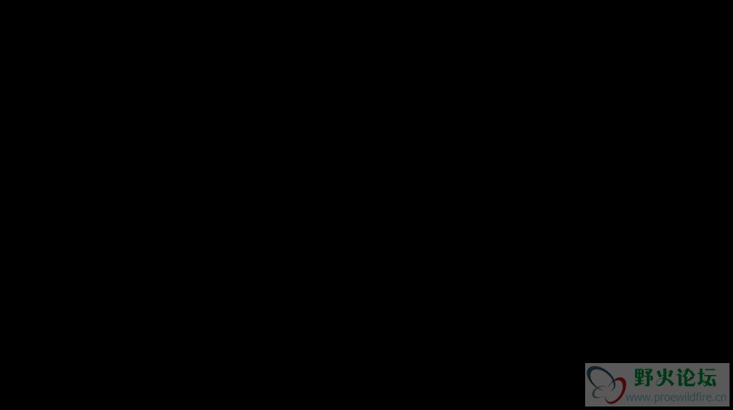 24324.jpg