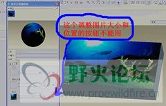 jietu_副本_副本.jpg