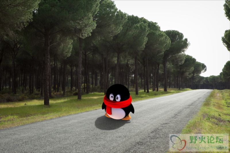 QQ.jpg