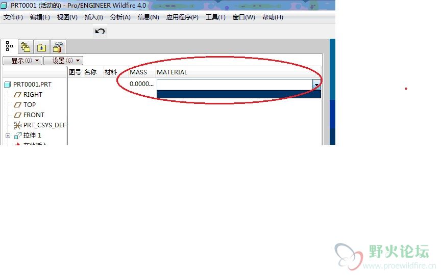 树列.jpg